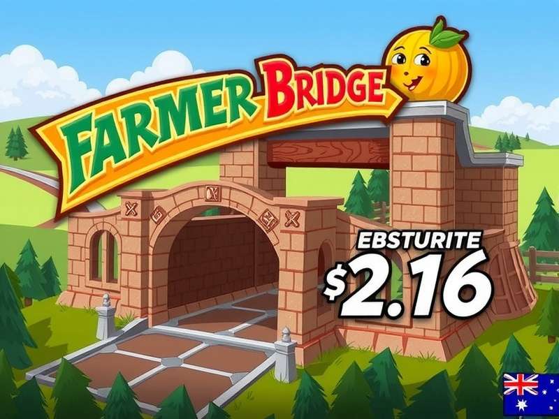 Farmer Bridge Assistance Program – rural community playing bridge in India